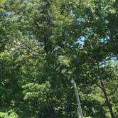 Review photo of Devil's Den State Park Campground by Stephanie J., August 11, 2018
