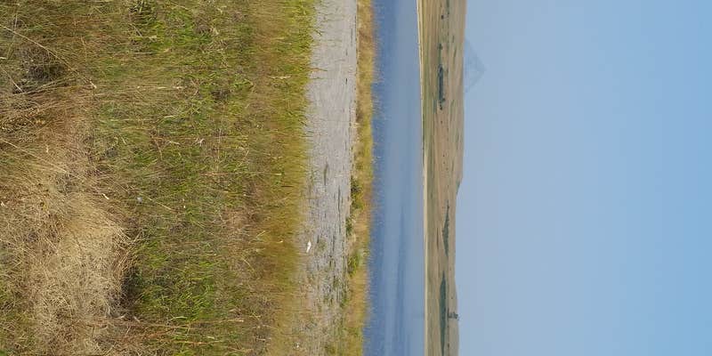 Camper submitted image from Bean Lake