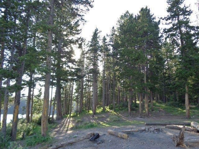 Camper-submitted photo at Heart Lake Cabin — Yellowstone National Park near Emigrant, MT