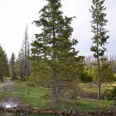 Review photo of Ranger Lakes Campground — State Forest State Park by Stephanie J., August 12, 2018