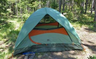 Carla S.'s photo of tent camping at Heart Lake Cabin — Yellowstone National Park near Island Park, ID