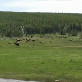 Review photo of Tower Fall Campground - Yellowstone National Park by Stephanie J., August 12, 2018