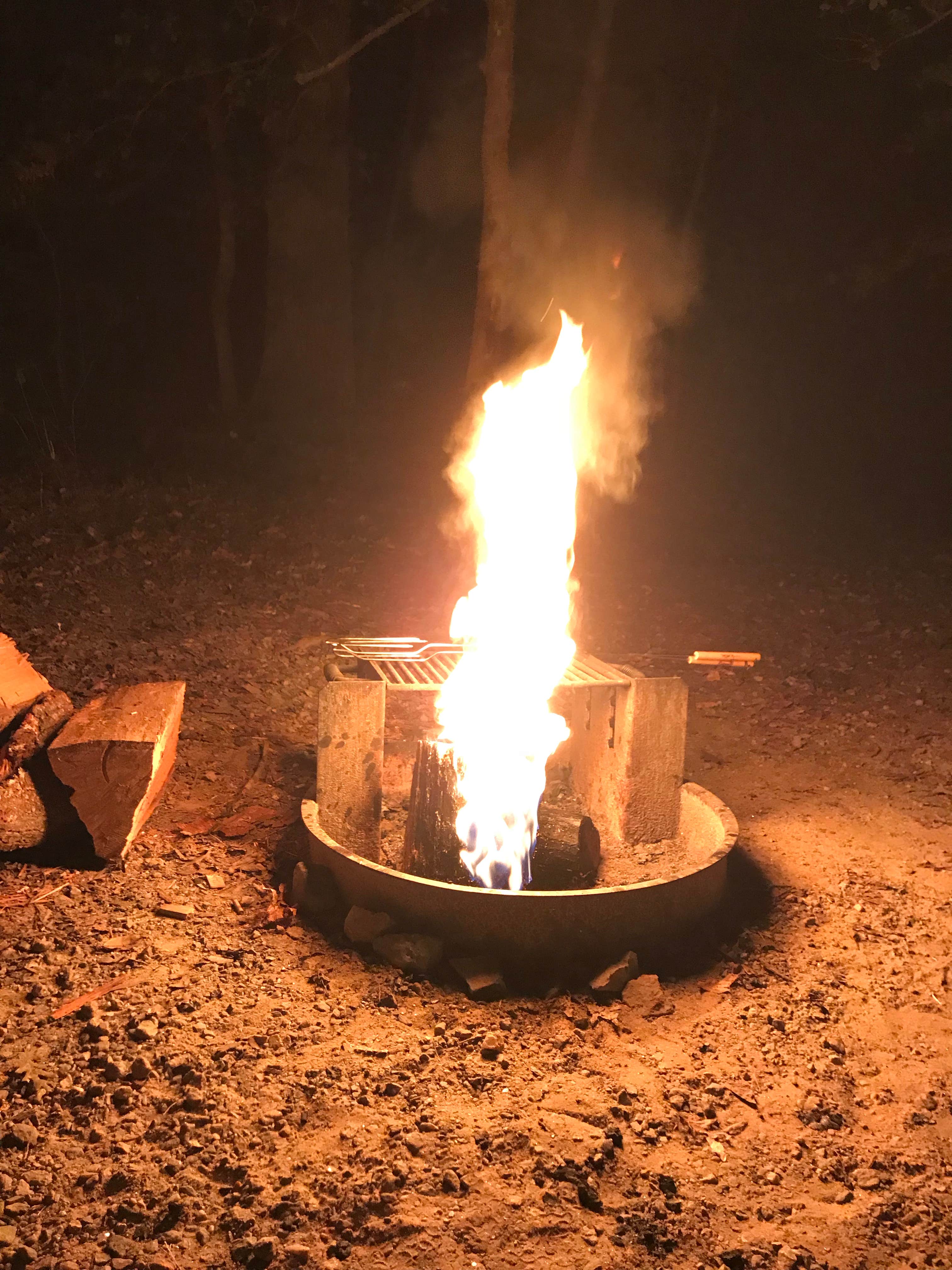 Kelly J.'s photo at Pocahontas State Park Campground in Virginia