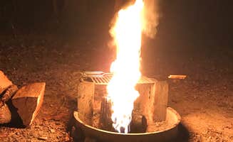 Kelly J.'s photo at Pocahontas State Park Campground in Virginia