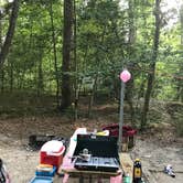 Review photo of Pocahontas State Park Campground by Kelly J., August 12, 2018