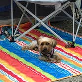 Review photo of Pocahontas State Park Campground by Kelly J., August 12, 2018