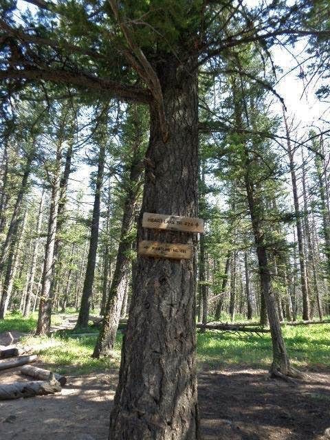 Heart Lake Campground