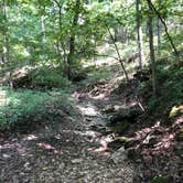 Review photo of Cuivre River State Park Campground by Hannah S., August 12, 2018