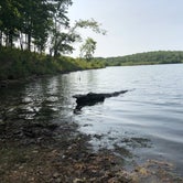 Review photo of Cuivre River State Park Campground by Hannah S., August 12, 2018