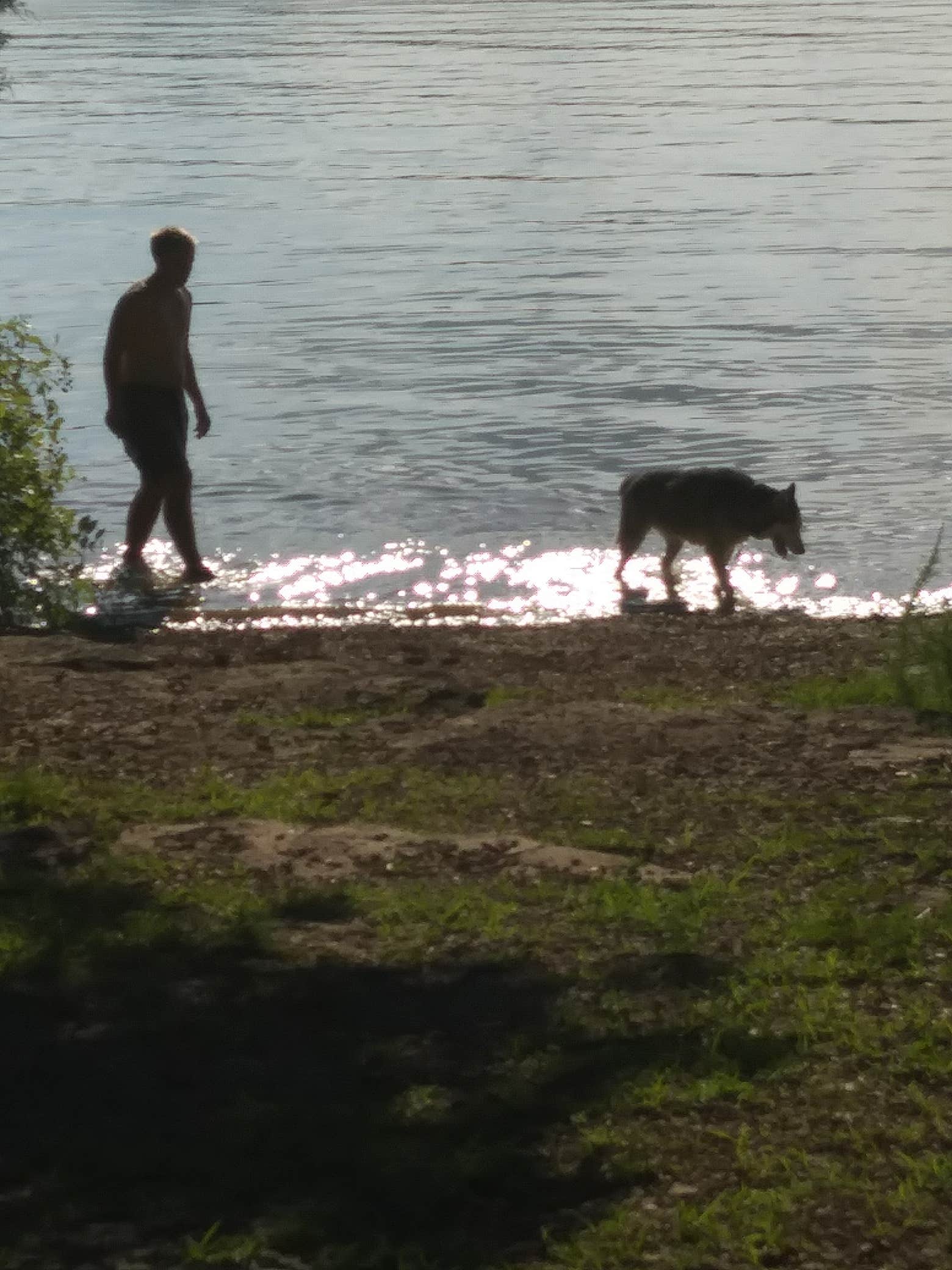 Stephanie J.'s photo of camping with pets at Anderson Road Campground near Gallatin, TN