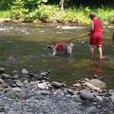 Review photo of Cosby Campground — Great Smoky Mountains National Park by Stephanie J., August 12, 2018