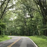 Review photo of Cosby Campground — Great Smoky Mountains National Park by Stephanie J., August 12, 2018