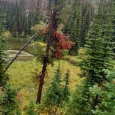 Review photo of Heart Lake Cabin — Yellowstone National Park by Carla S., July 30, 2016