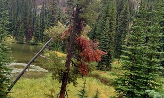 Camping near Red Cliff Campground: Heart Lake Cabin — Yellowstone National Park, Custer Gallatin National Forest, Montana