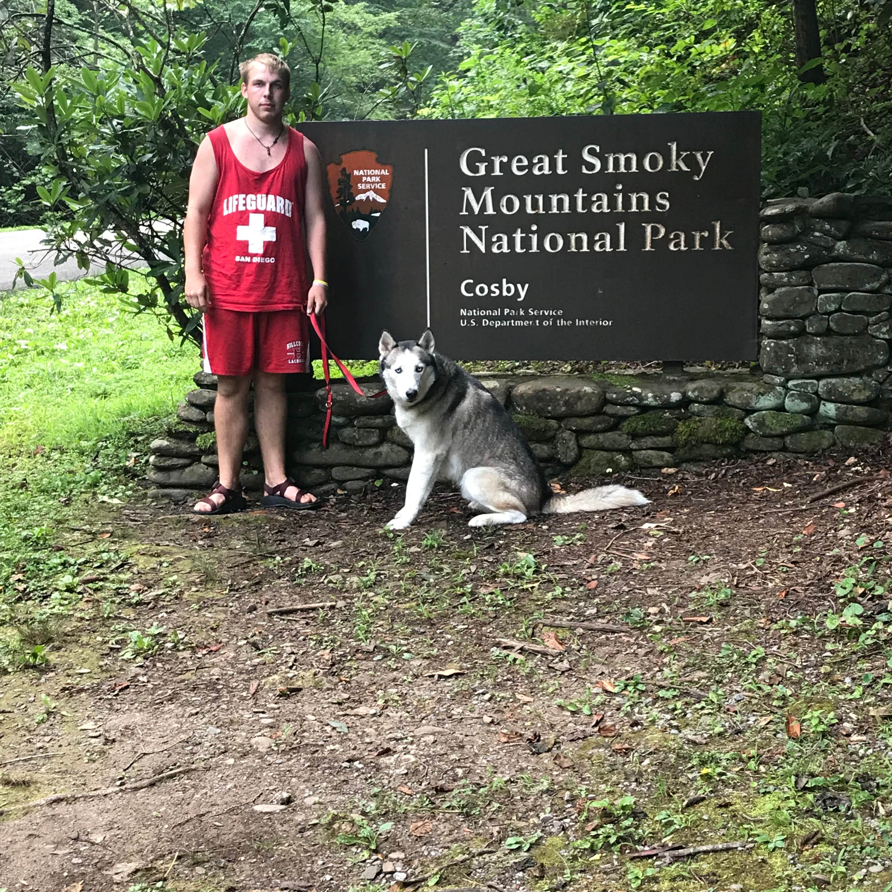 Stephanie J.'s photo of camping with pets at Cosby Campground — Great Smoky Mountains National Park near Maggie Valley, NC