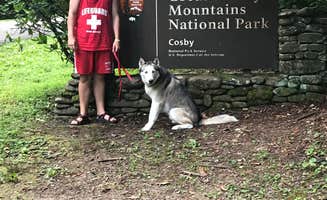 Stephanie J.'s photo of camping with pets at Cosby Campground — Great Smoky Mountains National Park near Cosby, TN