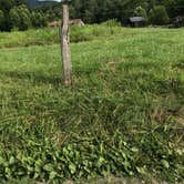 Review photo of Elkmont Campground — Great Smoky Mountains National Park by Stephanie J., August 12, 2018