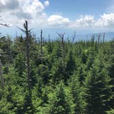 Review photo of Elkmont Campground — Great Smoky Mountains National Park by Stephanie J., August 12, 2018