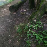 Review photo of Cooper Creek by Savannah C., July 30, 2016