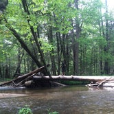 Review photo of Cooper Creek by Savannah C., July 30, 2016