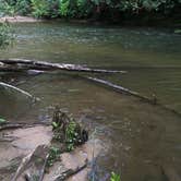Review photo of Cooper Creek by Savannah C., July 30, 2016