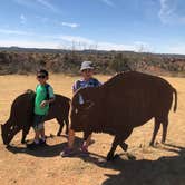 Review photo of Honey Flat Camping Area — Caprock Canyons State Park by Tina T., August 12, 2018