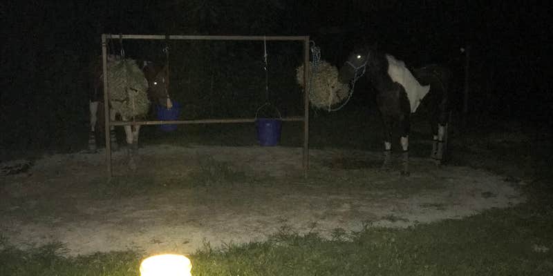 Camper submitted image from Questing Hills Equestrian Campground — Jim Edgar Panther Creek State Fish and Wildlife Area