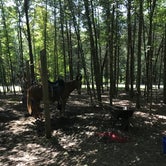 Review photo of Sam A. Baker State Park Campground by Alicia  B., August 12, 2018