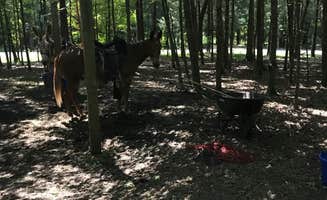 Alicia  B.'s photo of camping with a horse at Sam A. Baker State Park Campground near Perryville, MO
