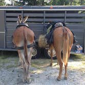 Review photo of Ramsey Lake State Recreation Area by Alicia  B., August 12, 2018