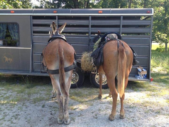 Camper submitted image from Ramsey Lake State Recreation Area - 3