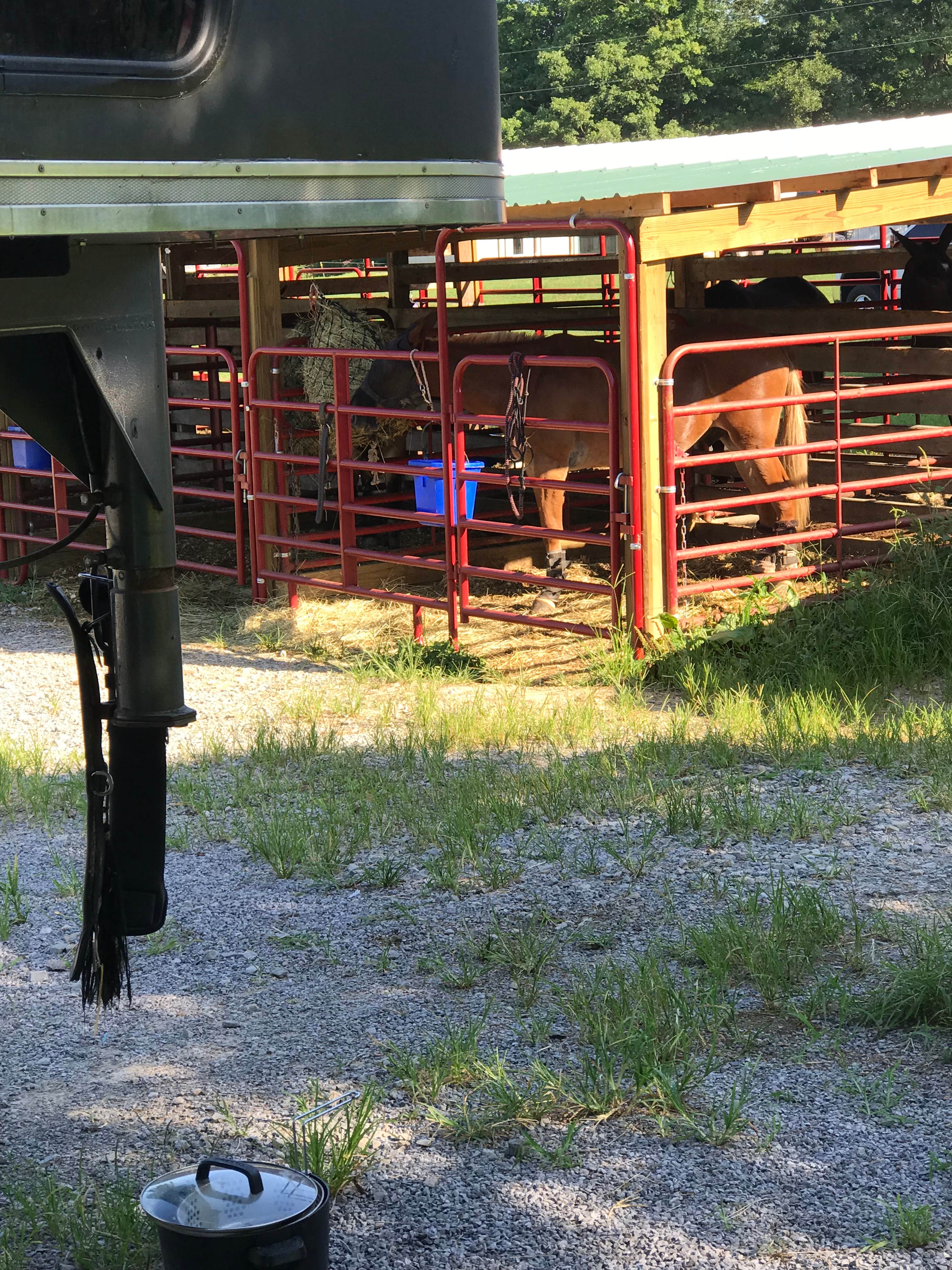 Camping near Timber Ridge Outpost & Cabins: High Knob Campgrounds, Karbers Ridge, Illinois