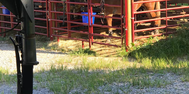 Camper submitted image from High Knob Campgrounds