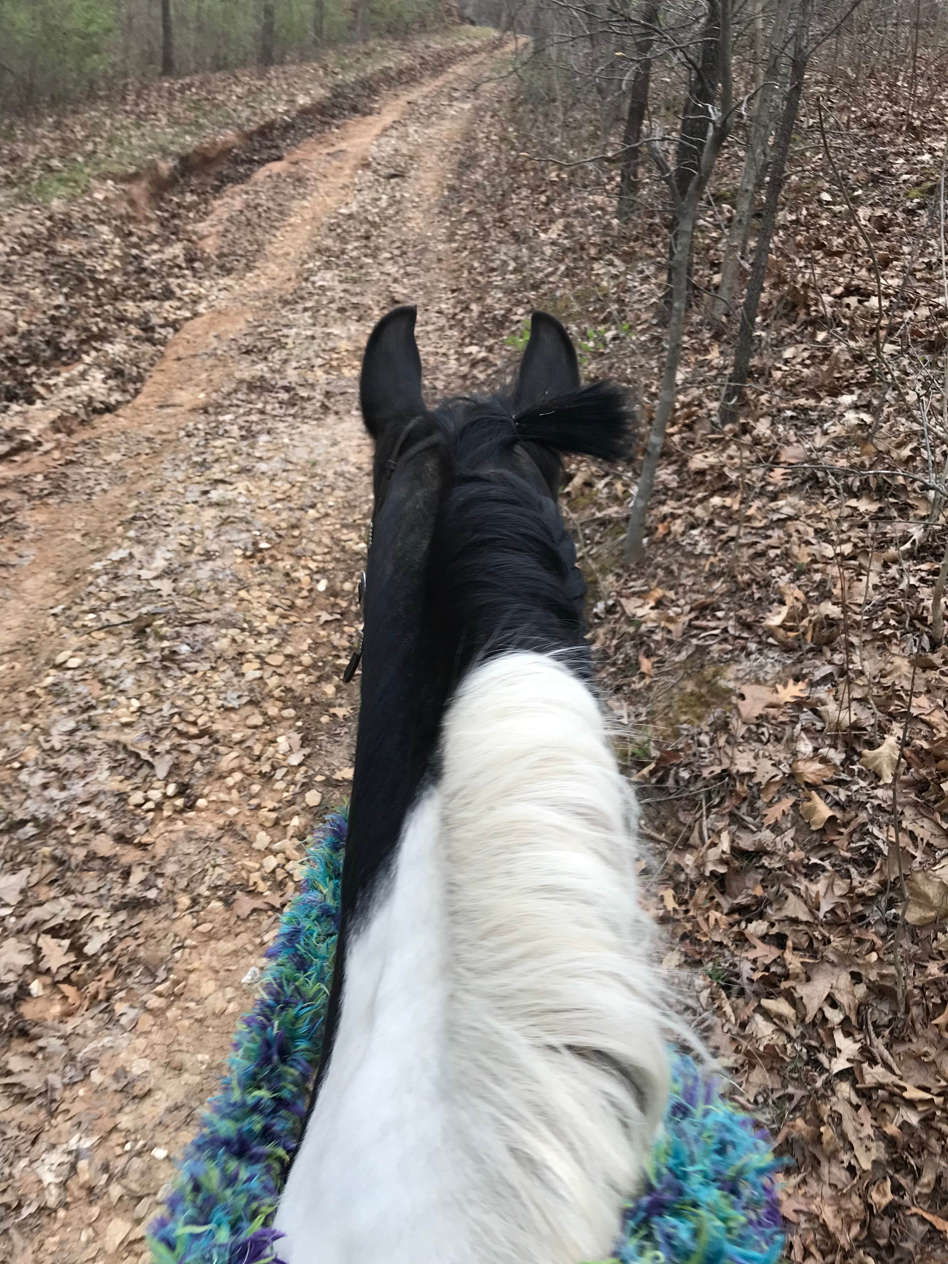 Camper-submitted photo at McCully Heritage Project near St. Ann, MO