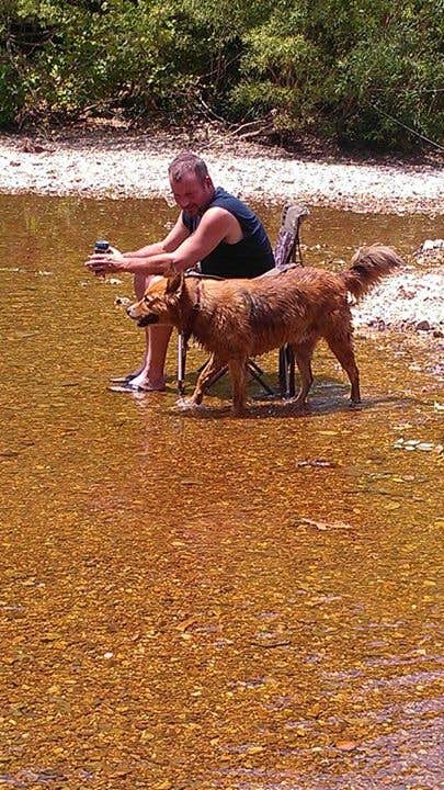 Alicia  B.'s photo of camping with pets at Huzzah Valley near Pilot Knob, MO