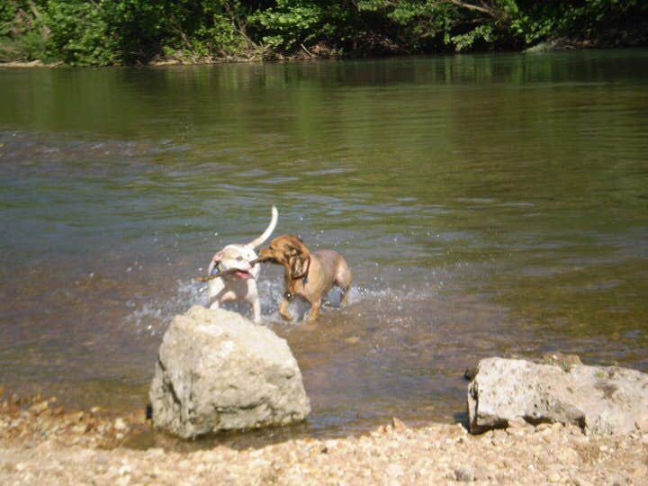 Camper submitted image from Huzzah Valley - 5
