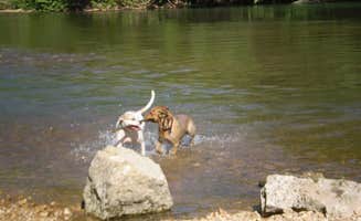 Alicia B.'s photo of camping with pets at Huzzah Valley near Pilot Knob, MO