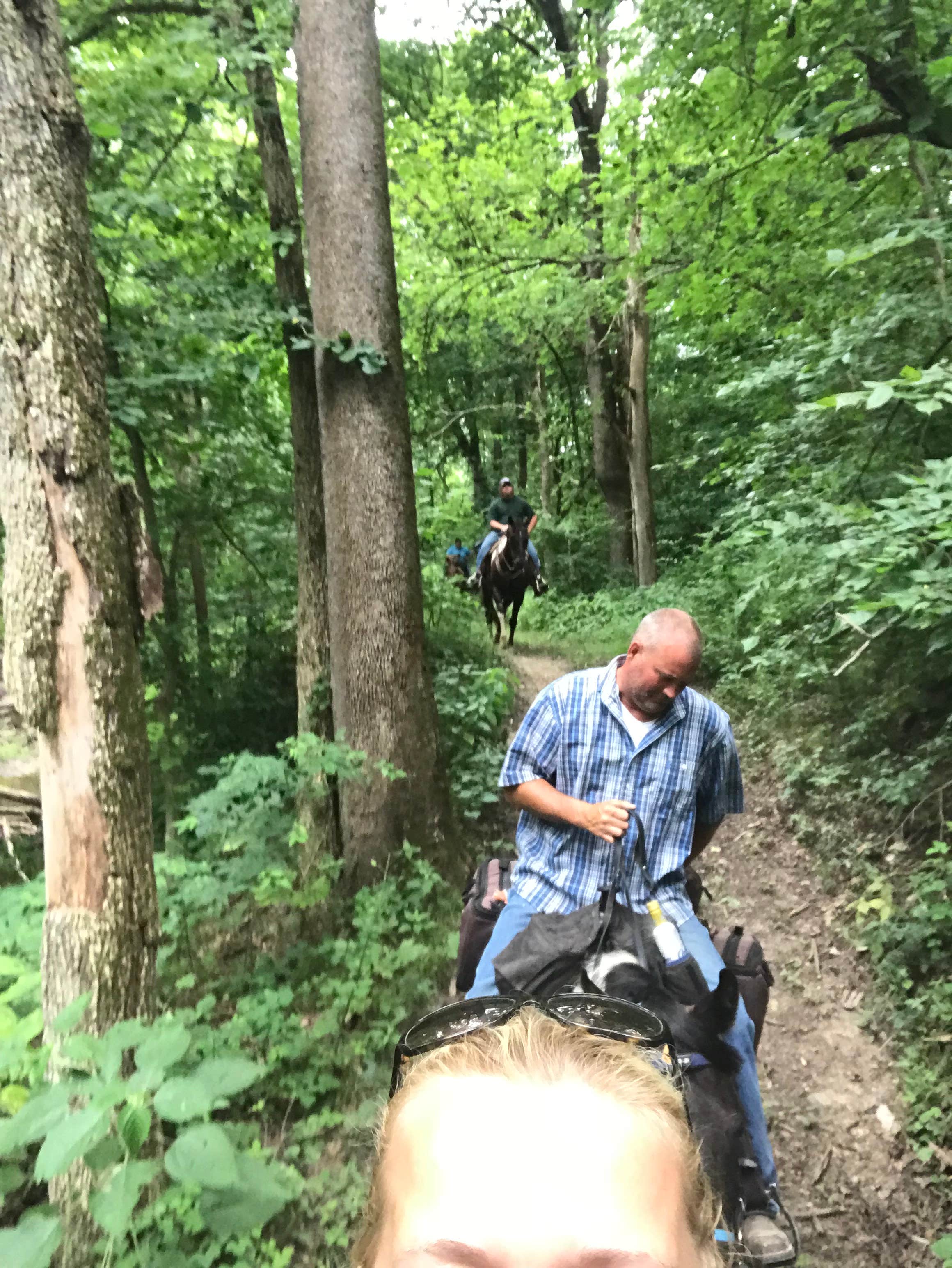 Camping near Timber Ridge Outpost & Cabins: Bear Branch Campground, Eddyville, Illinois