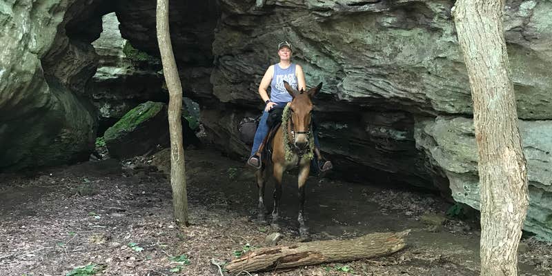 Camper submitted image from Hayes Canyon Campground