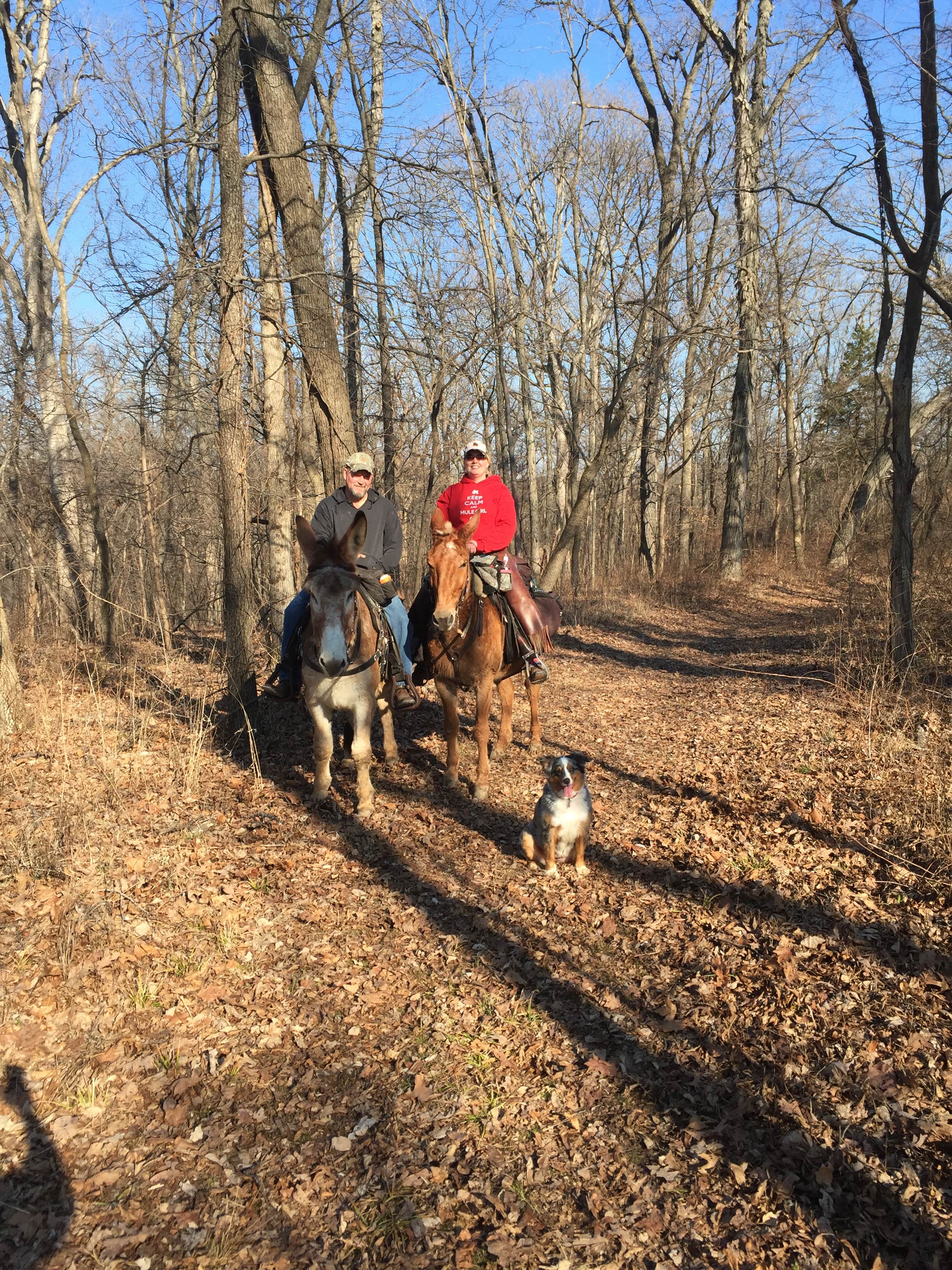 Alicia  B.'s photo of camping with a horse at Dr. Edmund A. Babler Memorial State Park Campground near Annada, MO