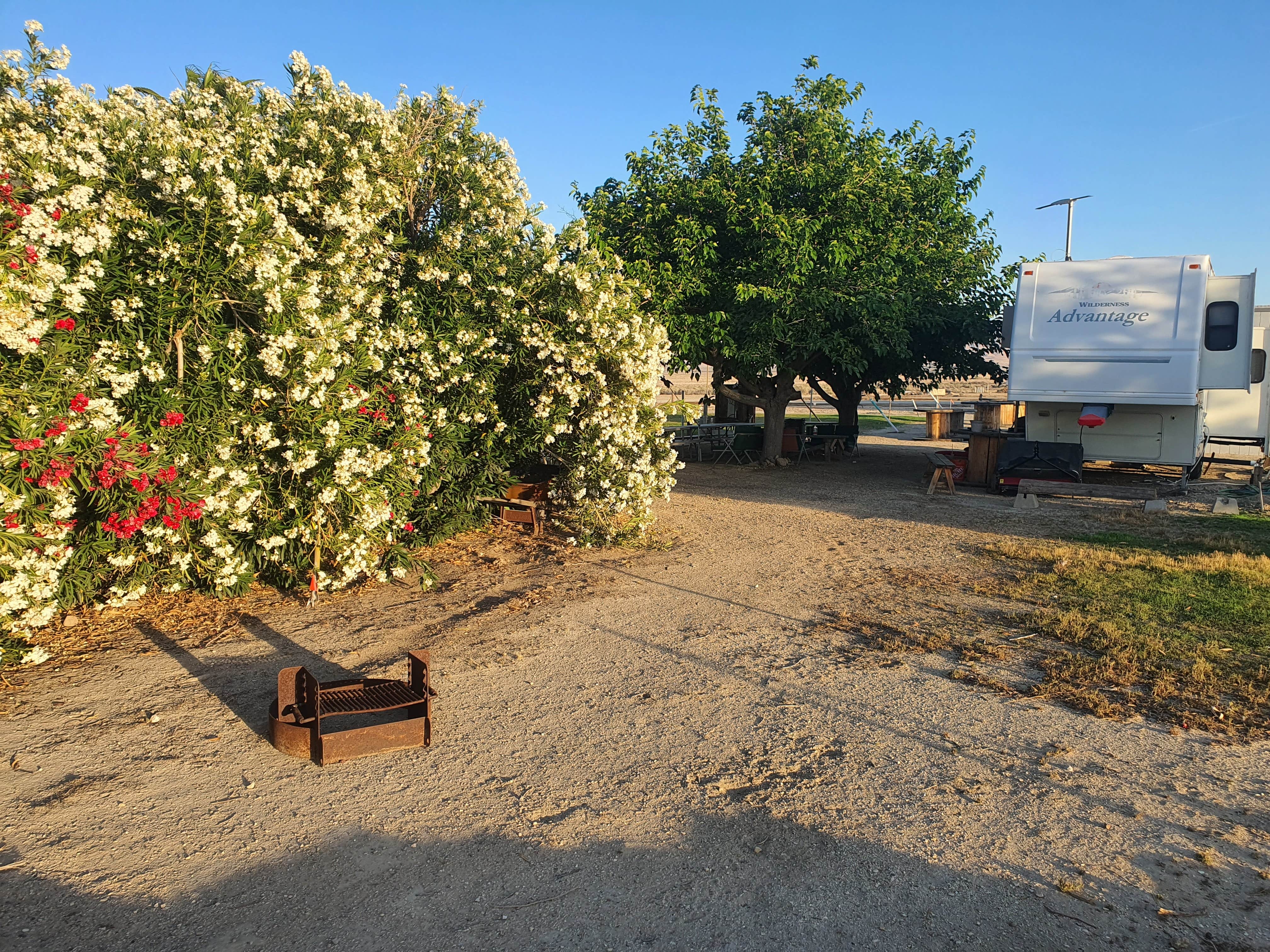 Camper-submitted photo at 10 Star Ranch near Taft, CA