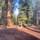 Review photo of FS Road 13s09 Dispersed Camp - Ten Mile Road by Bobby D., April 10, 2026