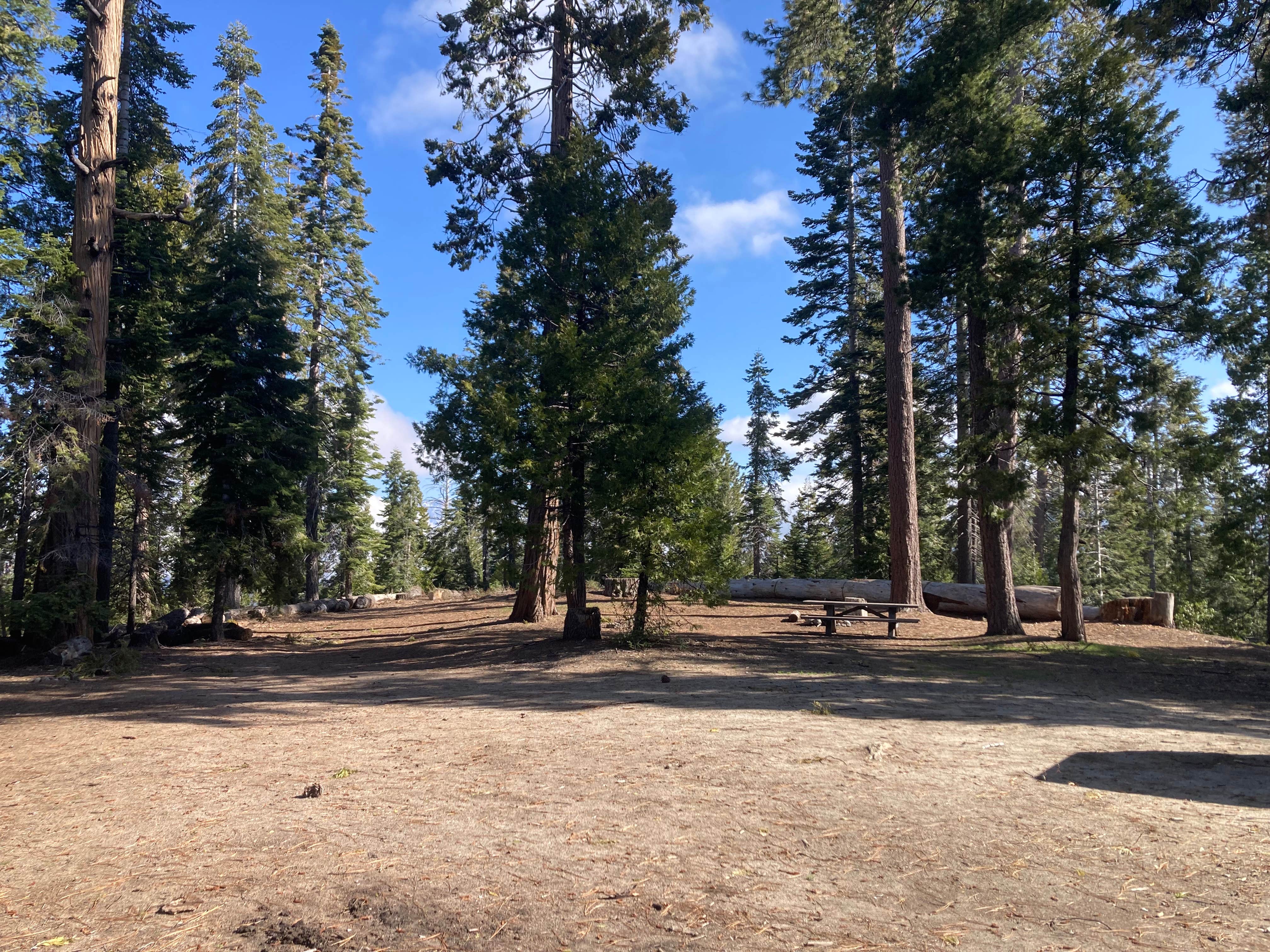 Camper-submitted photo at FS Road 13s09 Dispersed Camp - Ten Mile Road near Hume, CA