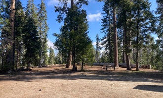 Camping near Azalea Campground — Kings Canyon National Park: FS Road 13s09 Dispersed Camp - Ten Mile Road, Hume, California