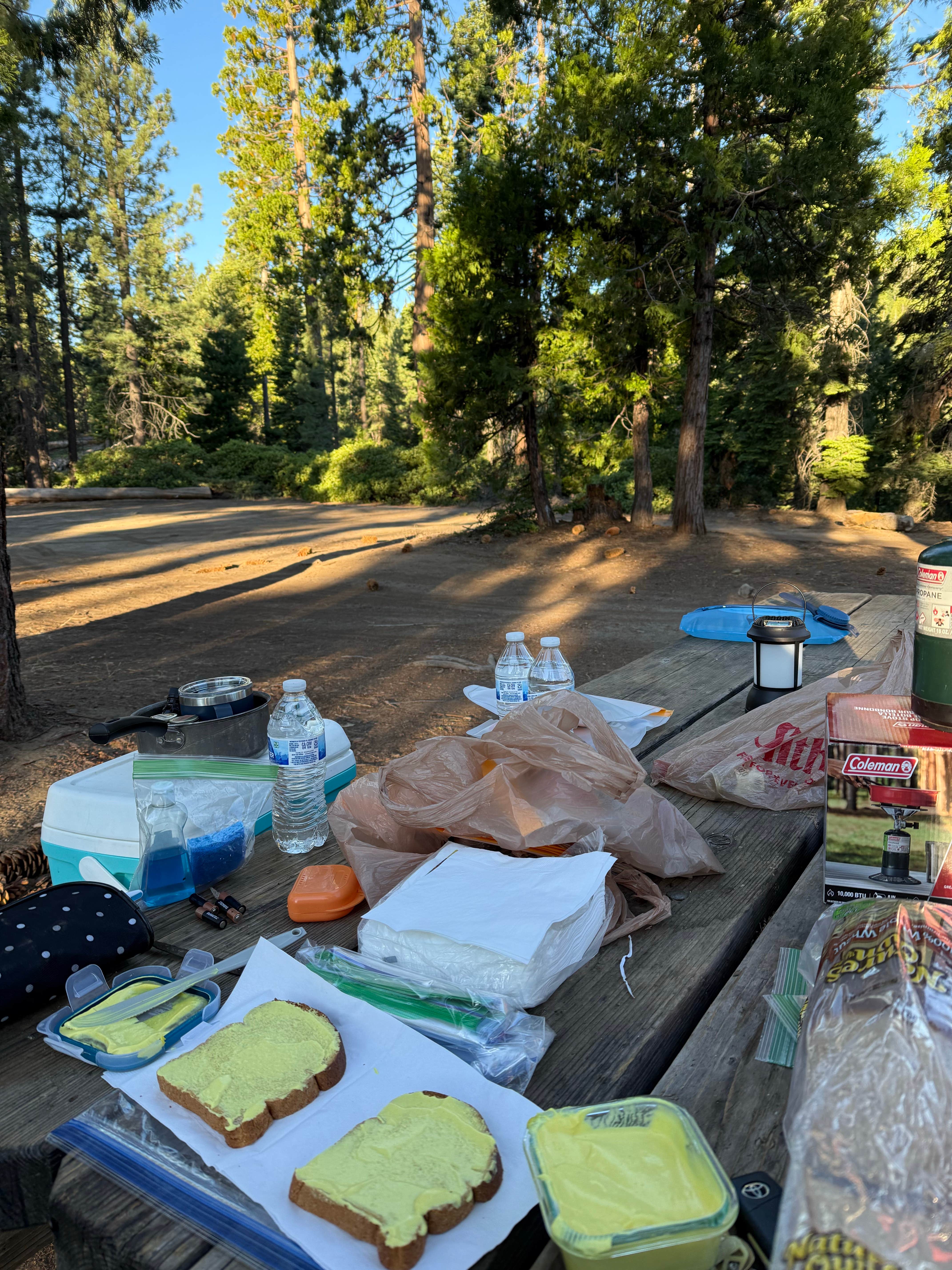 Camper-submitted photo at FS Road 13s09 Dispersed Camp - Ten Mile Road near Hume, CA
