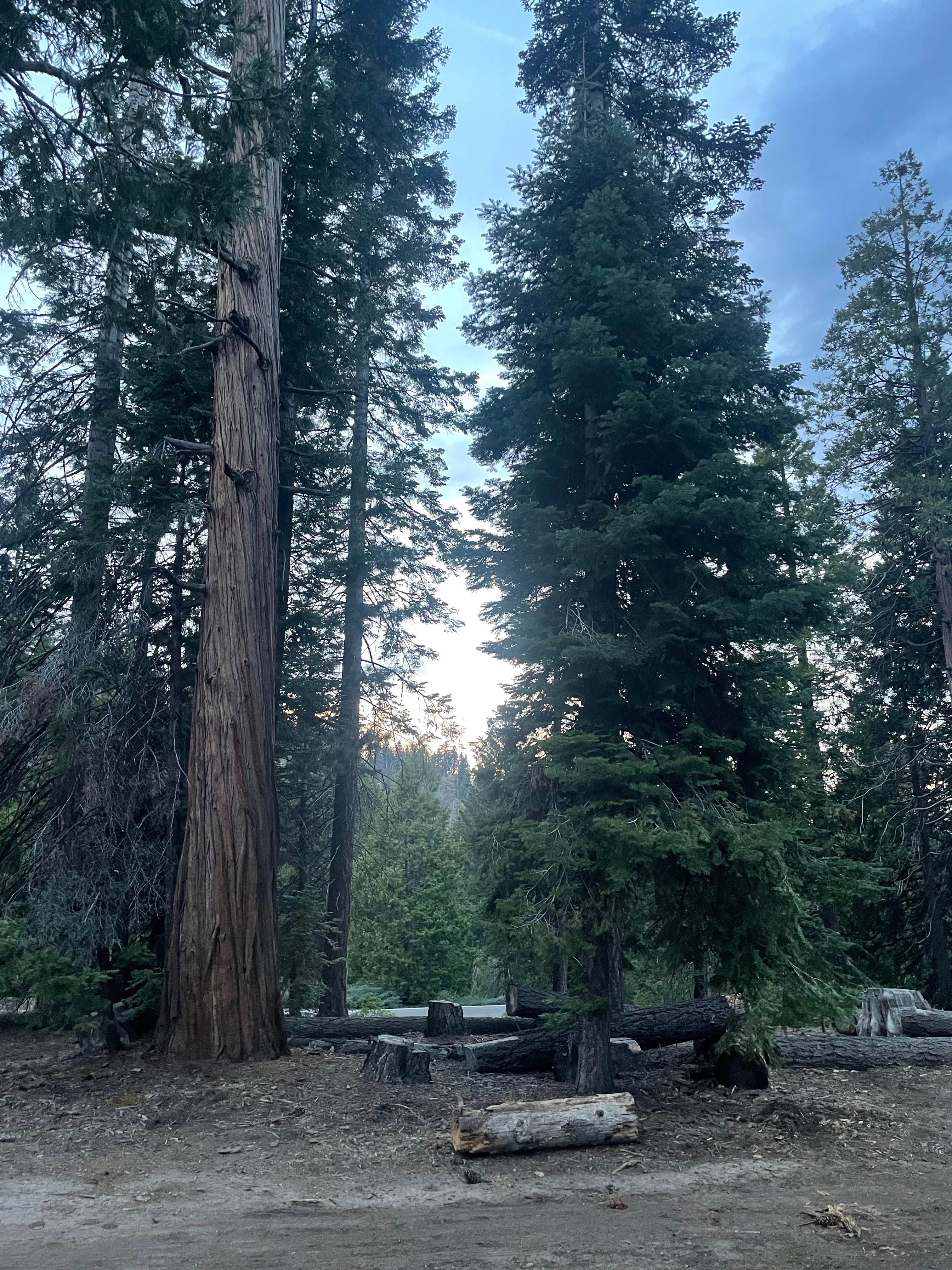 Camper-submitted photo at FS Road 13s09 Dispersed Camp - Ten Mile Road near Sierra National Forest