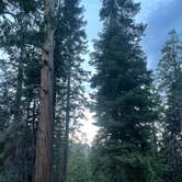 Review photo of FS Road 13s09 Dispersed Camp - Ten Mile Road by Bobby D., April 10, 2026