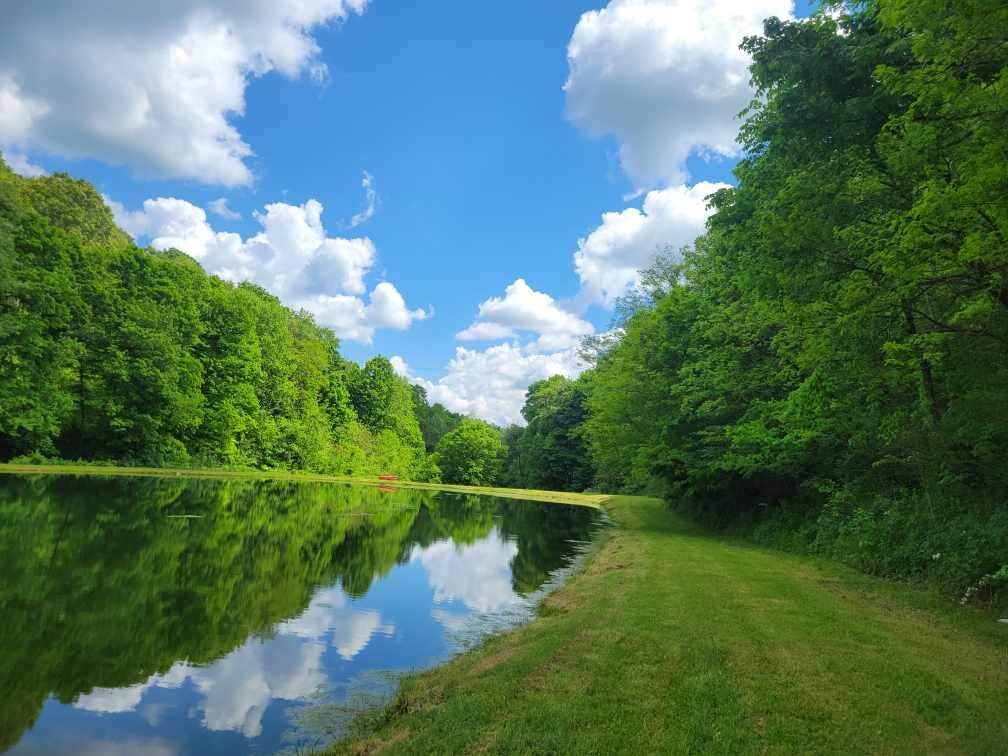 Annie K.'s photo of a dispersed camping area at 15377 near Masontown, WV