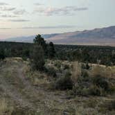 Review photo of 19631 Humboldt Forest Road Dispersed Campsite by DL M., September 21, 2024