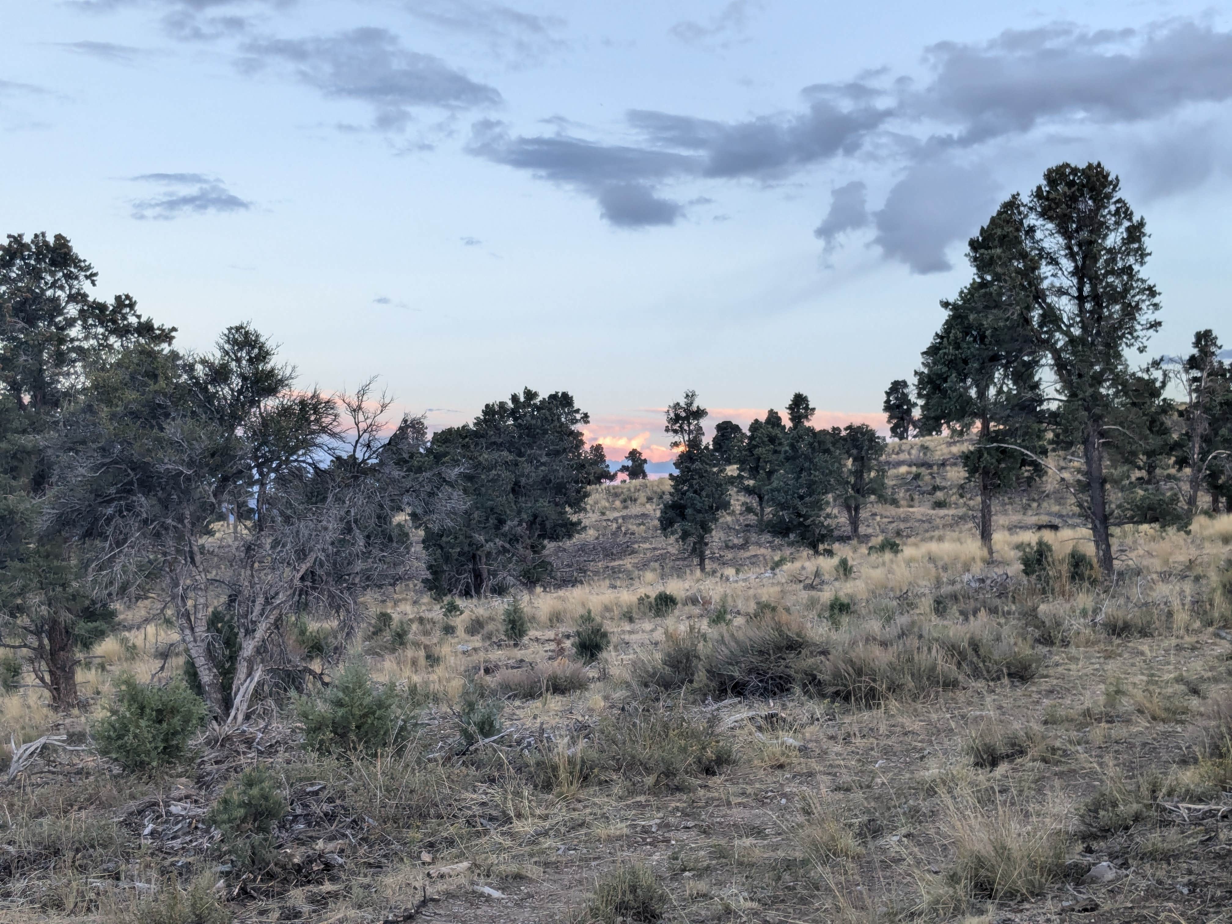 Camper-submitted photo at 19631 Humboldt Forest Road Dispersed Campsite near Duckwater, NV